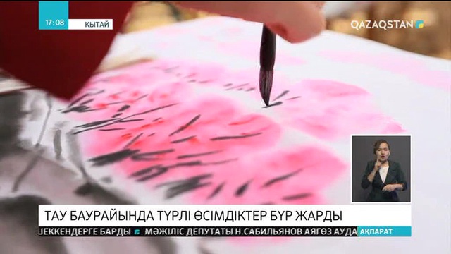 03.04.2018 - Ақпарат - 17:00 (Толық нұсқа)