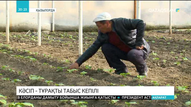 Шиелі ауданындағы құс фермасында күніне 20 мың дана жұмыртқа шығарылады