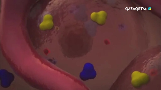 07.04.2018 - Шипагер - Қант диабеті (Толық нұсқа)