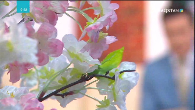 Ақын Ақұштап Бақтыгереева «Таңшолпанның» төрінде