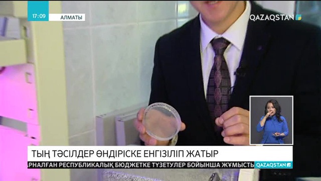 Отандық ғалымдар картоптың ұлпалы көзін егу арқылы өнім алуға болатын жаңа әдіс ойлап тапты