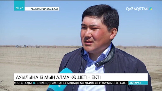 Қызылордалық кәсіпкер туған ауылына 13 мың алма көшетін екті
