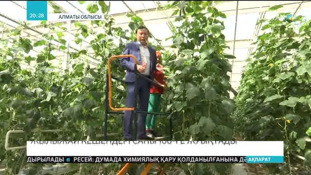 Алматы облысында жылыжай кешендері дамып келеді