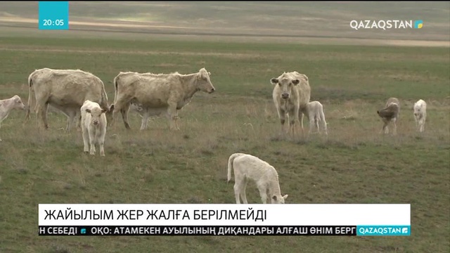 Жайылым жер жалға берілмейді