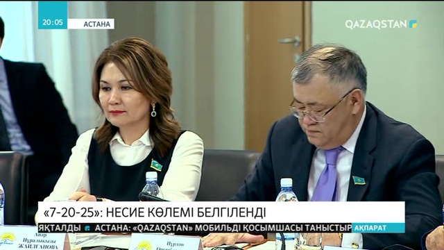 «7-20-25» бағдарламасы бойынша берілетін несиенің шекті көлемі белгіленді