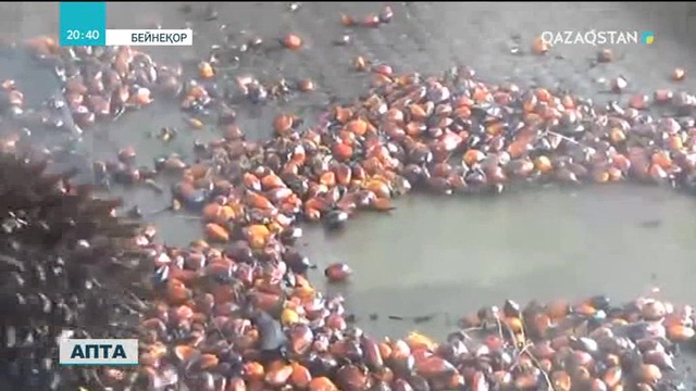 Елімізде залалы көп астың жарнамасы шектелуі мүмкін