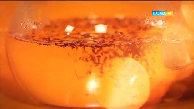 Таңғы ақпаратты-сазды бағдарлама (31.01.2017)