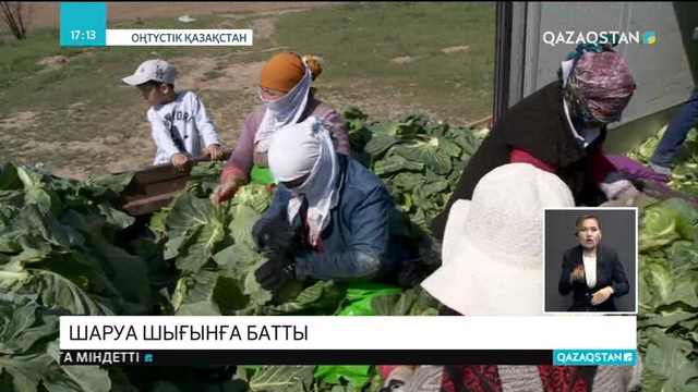 Оңтүстікқазақстандық шаруалар шығынға батты