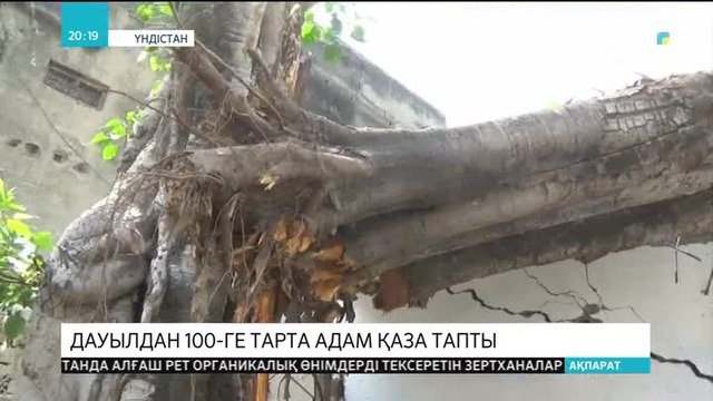 Үндістанның солтүстігінде дауылдан 100-ге тарта адам қаза тапты