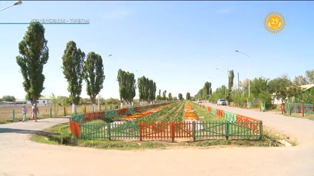 Тәуелсіздікке 25 жыл. Тәуелсіздік - тірегім.  Қызылорда облысы.  Арнайы жоба