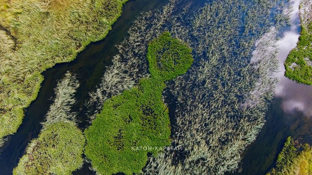 Қатон-Қарағай