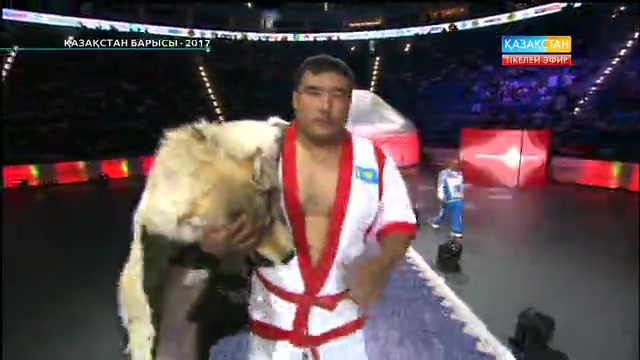 Ержан Шынкеев бірінші белдесуінде «Ақмола арланын» жеңді
