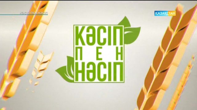 Қазақстандағы сүттің сапасы қандай?