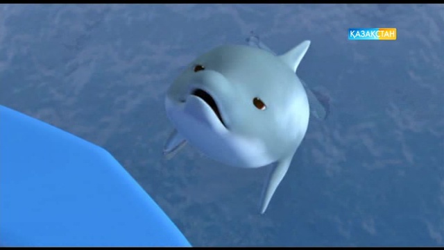 Дүйсенбі-жұма аралығында сағат 10:55-те «Роботкөлік Поли» мультфильмін көріңіз!