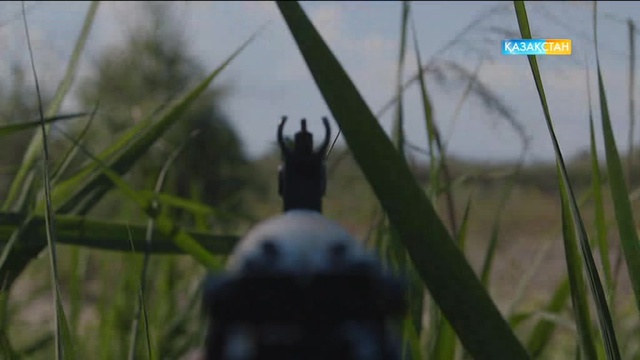 Жақында «Шекара шебінде» телехикаясын тамашалай аласыздар!