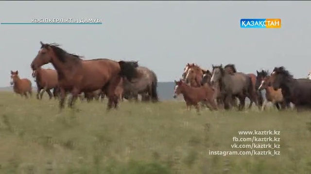 «Өткен мен жеткен: Кәсіпкерлік»