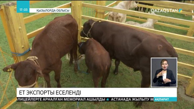 Қызылорда облысында ет өндірісі 2,7 есеге артты