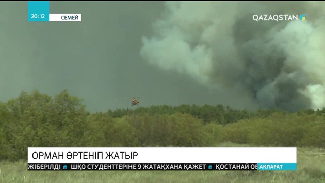 Семей іргесінде орман өртенді