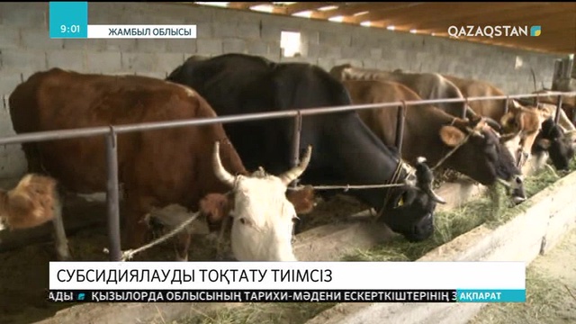 Жамбыл облысында ауыл шаруашылығын дамытуда ілгерілеу бар