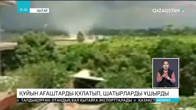 Қытайда құйын ағаштарды құлатып, шатырларды ұшырды