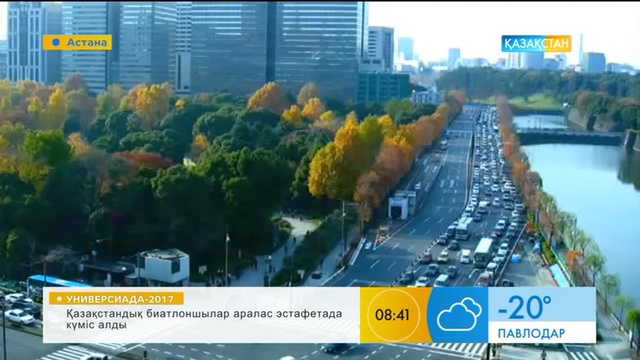 Өсіп тұрған ағаштың үстіне салынған үйді көргенсіз бе?