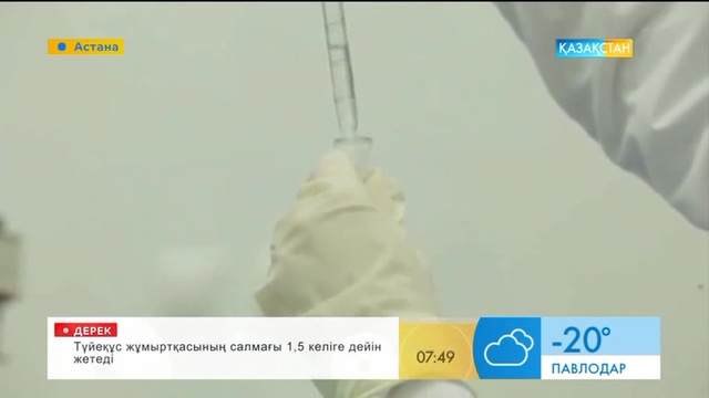 Дәріні көп ішу ағзаға қалай әсер етеді?