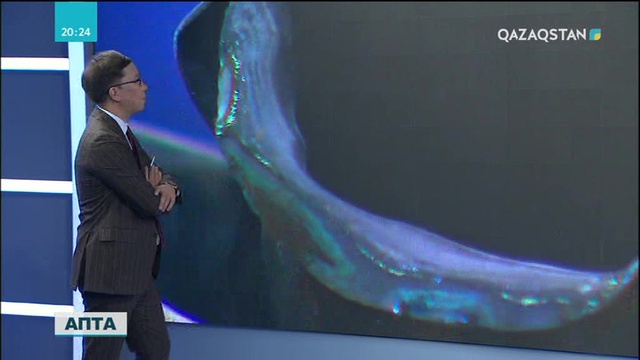 «АЛЖИР» лагерінде «Отанын сатқандардың отбасы мүшелері» деген жаламен 18 мыңдай әйел жазасын өтеген