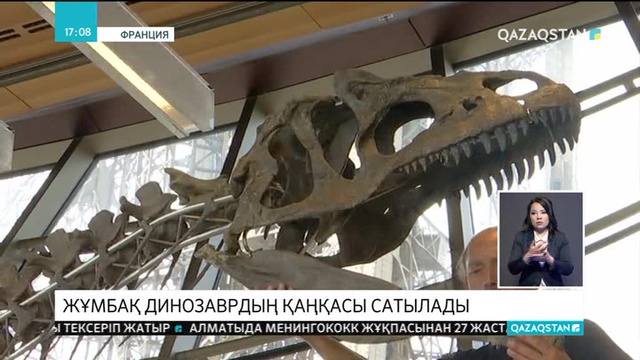 Парижде аукцион арқылы жұмбақ динозаврдың қаңқасы сатылмақ