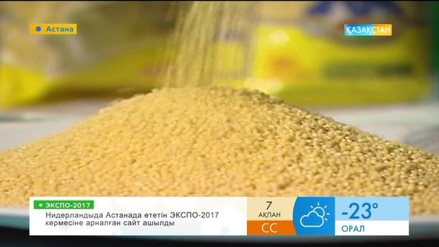 Майсөк тағамs қалай дайындалады?