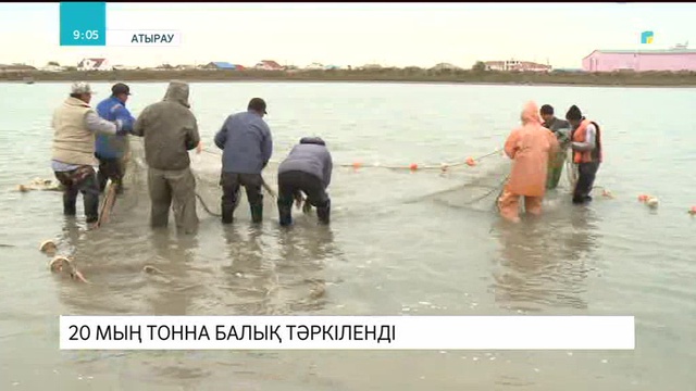 Ұлттық ұлан қызметкерлері мінген көліктен 162 келі бекіре тәркіленді