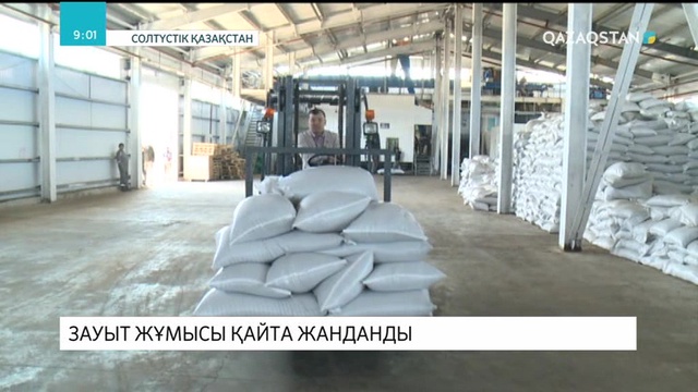 СҚО-да күнбағыс майын өндіретін зауыт жұмысы қайта жанданды