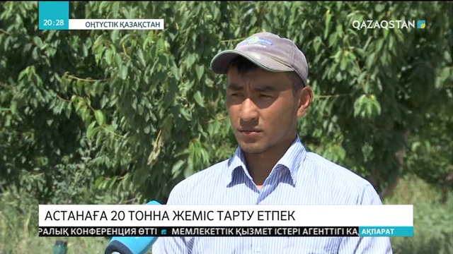 Астананың 20 жылдық мерекесіне оңтүстікқазақстандық диқандар 20 тонна тәтті шие тарту етпек