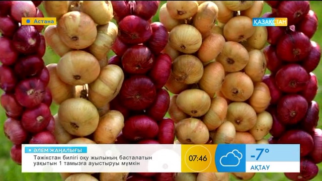 Пияздың зияны туралы не білесіз?