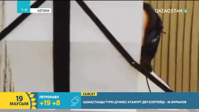 Әли Оқапов: Батыр біз үшін жай ғана әнші емес, жанұямыздың да мүшесі еді