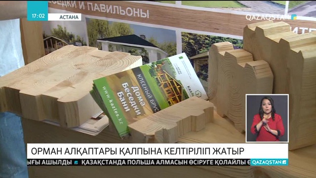 Қазақстанда 500  мың гектар орман алқабы қалпына келтірілді