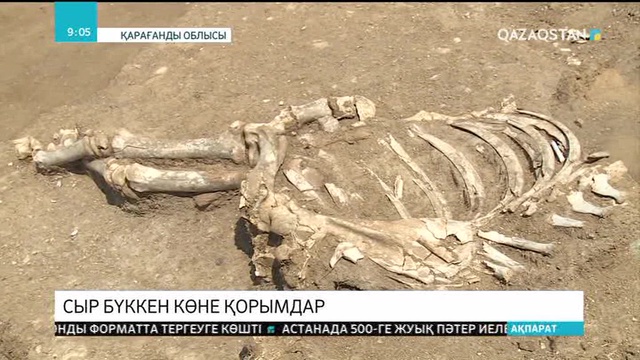 Қарағанды облысындағы Қотыртас мазарынан қола дәуіріне жататын көне жәдігерлер табылды