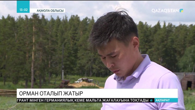 Орман оталып жатыр