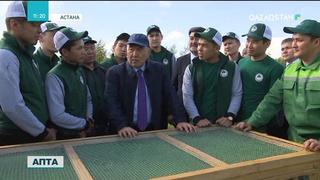 Осы аптада Н.Назарбаев Астанадағы жасыл белдеуді дамыту барысымен танысты
