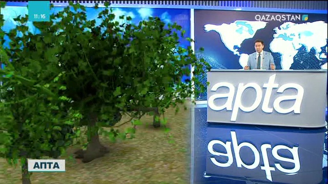 Елордада 20 жылда 20 млн. шаршы метр тұрғын үй бой көтеріп, жаңадан 4 аудан құрылған