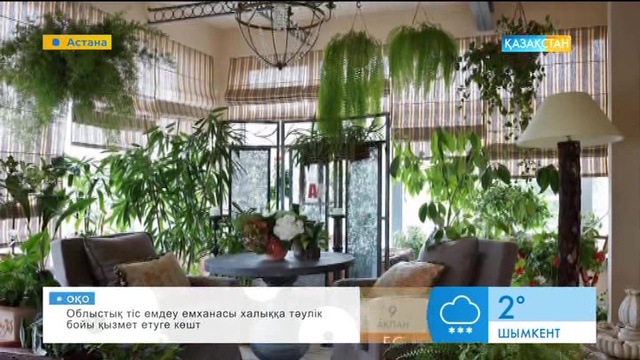 Бөлме гүлдерінің зияны немесе пайдасы туралы не білесіз?