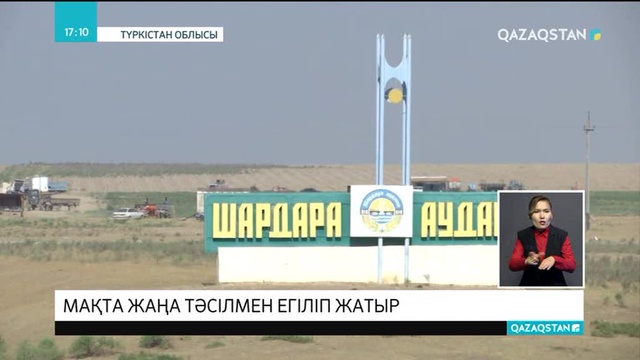 Түркістан облысында мақта жаңа тәсілмен егіліп жатыр