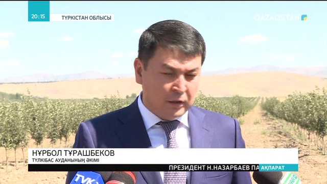 Түлкібас ауданының диқандары бау шаруашылығын дамытуға ден қойып отыр