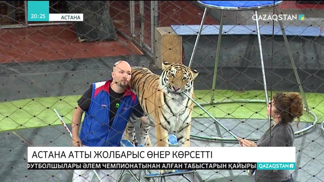 Елордалық циркте «Астана» атты жолбарыс өнер көрсетті