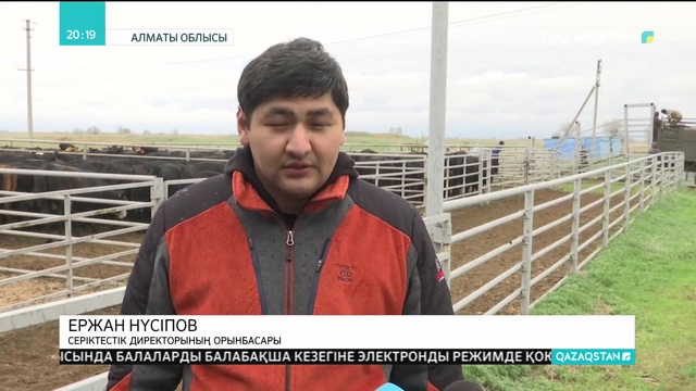 Алакөл ауданындағы мал шаруашылығы кешені өнімдерін экспортқа шығармақшы