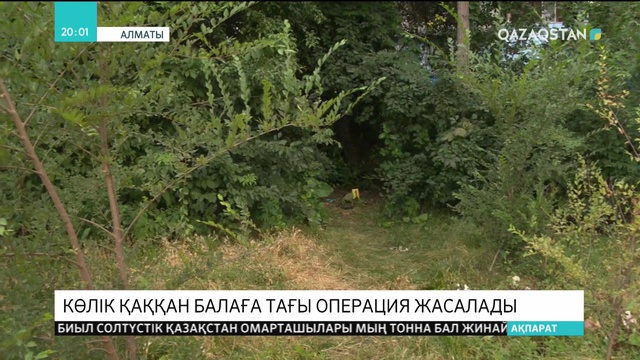 Алматыда көлік қаққан балаға тағы операция жасалады