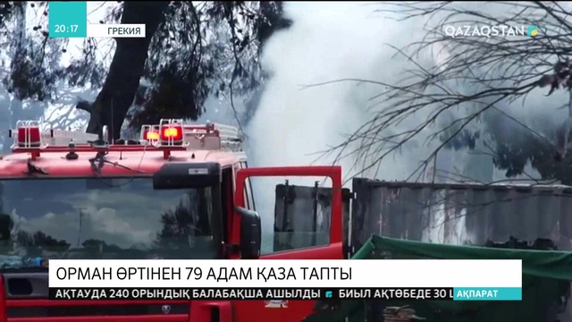 Грекияда  орман өртінен 79 адам қаза тапты