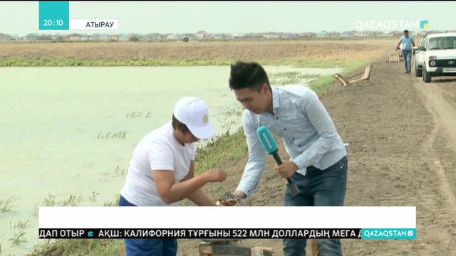 Бекіре шабақтары өзенге жіберілді
