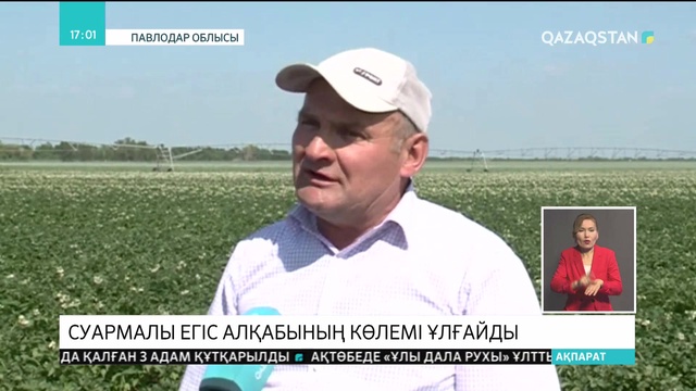 Павлодар облысында суармалы егіс алқаптарының көлемі ұлғайды