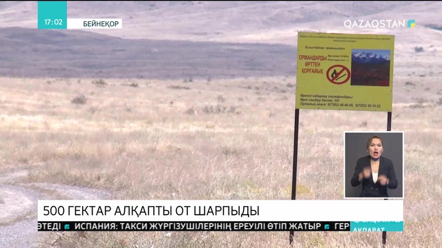 Жамбыл облысында  500 гектар алқапты от шарпыды