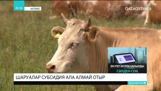 Шаруалар мемлекеттік субсидия ала алмай отыр